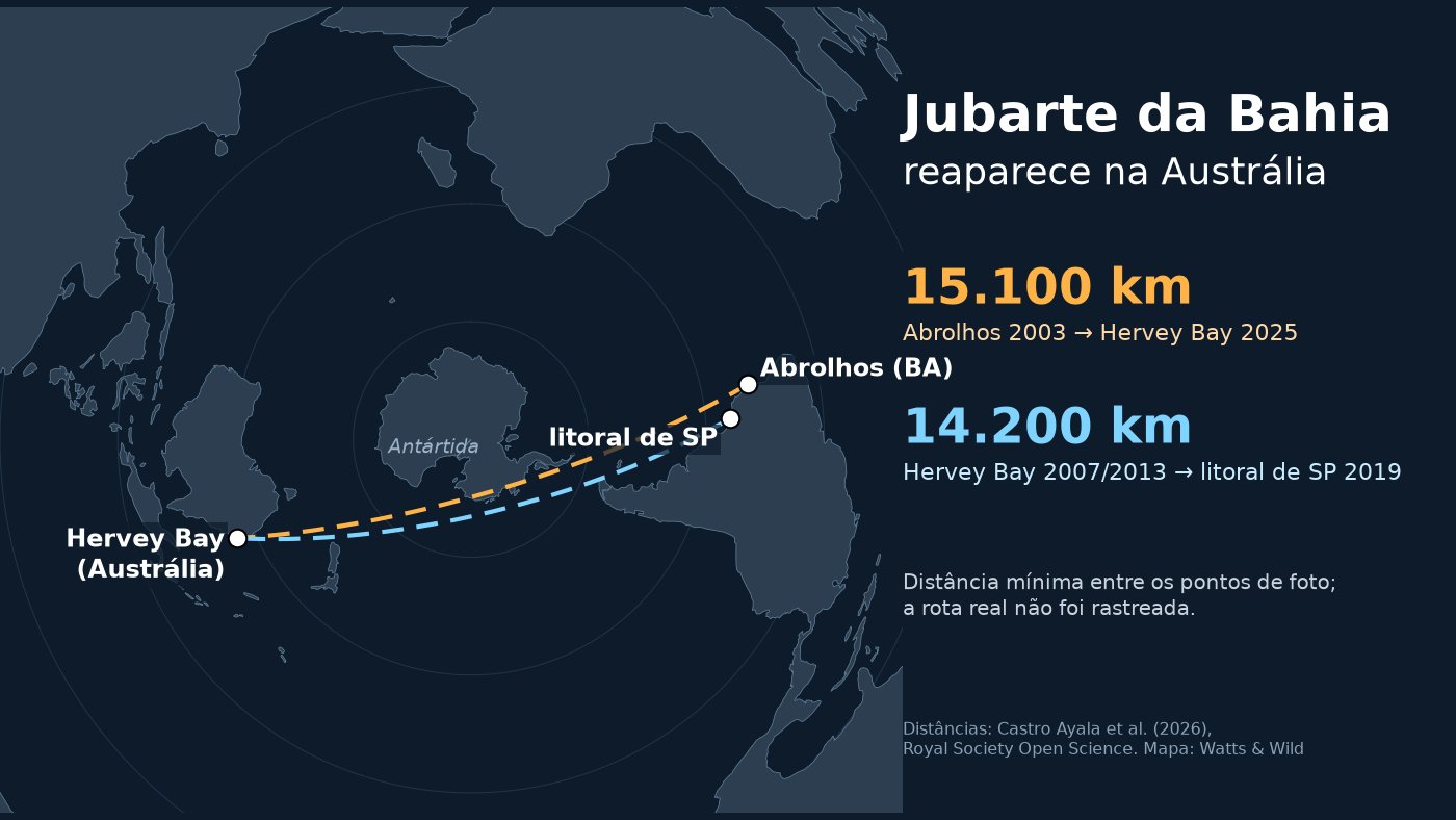Mapa do hemisfério sul com linhas tracejadas ligando Abrolhos, na Bahia, e o litoral de São Paulo a Hervey Bay, na Austrália, com as distâncias de 15.100 km e 14.200 km