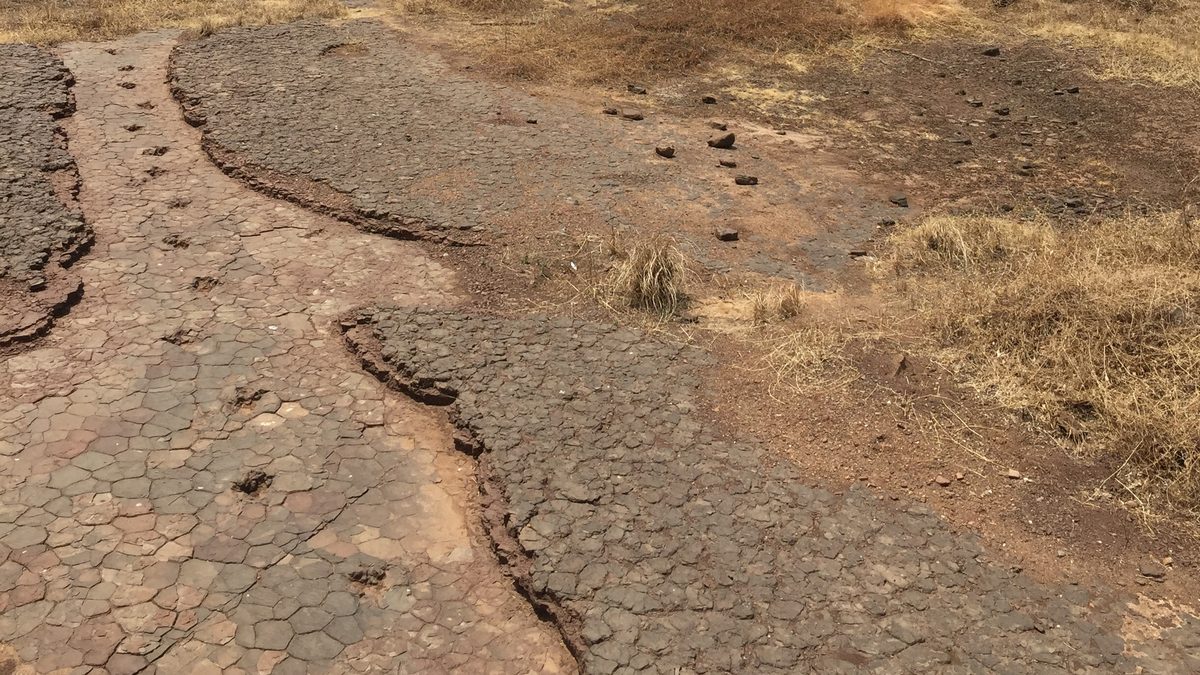 Laje de rocha avermelhada com lama seca rachada em placas e pequenas pegadas de dinossauro, no Vale dos Dinossauros, em Sousa, na Paraíba