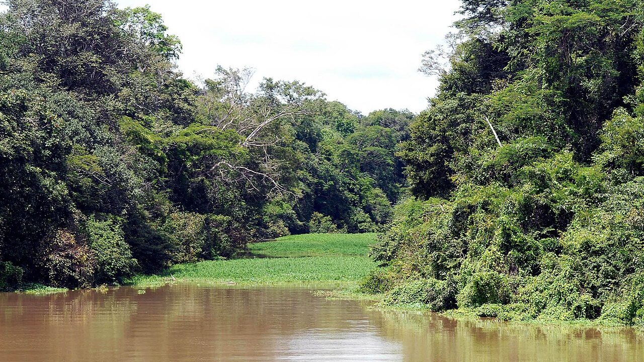 Rio Tefé, no Amazonas, cidade que decretou emergência por estiagem em 2026 junto com Maués