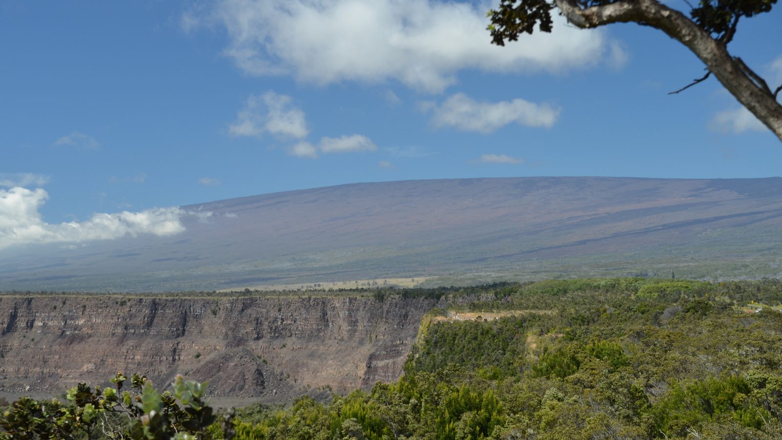 Flanco largo e suave do vulcão Mauna Loa atrás da caldeira do Kīlauea, no Havaí, com vegetação em primeiro plano