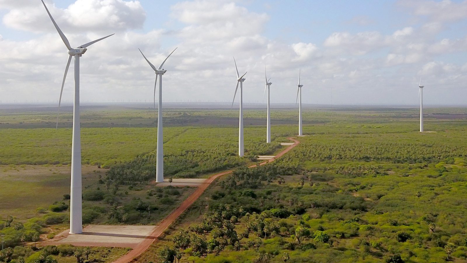 Aerogeradores do parque eólico Cutia entre a vegetação, ligados por estrada de terra, mudança no uso da terra no Rio Grande do Norte