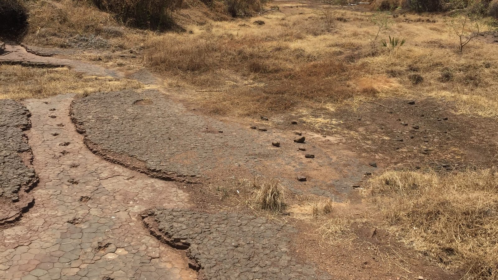 Laje de rocha com lama seca rachada e pegadas de dinossauro em leito de rio seco, imagem de arquivo para ilustrar pegadas de 110 milhões de anos