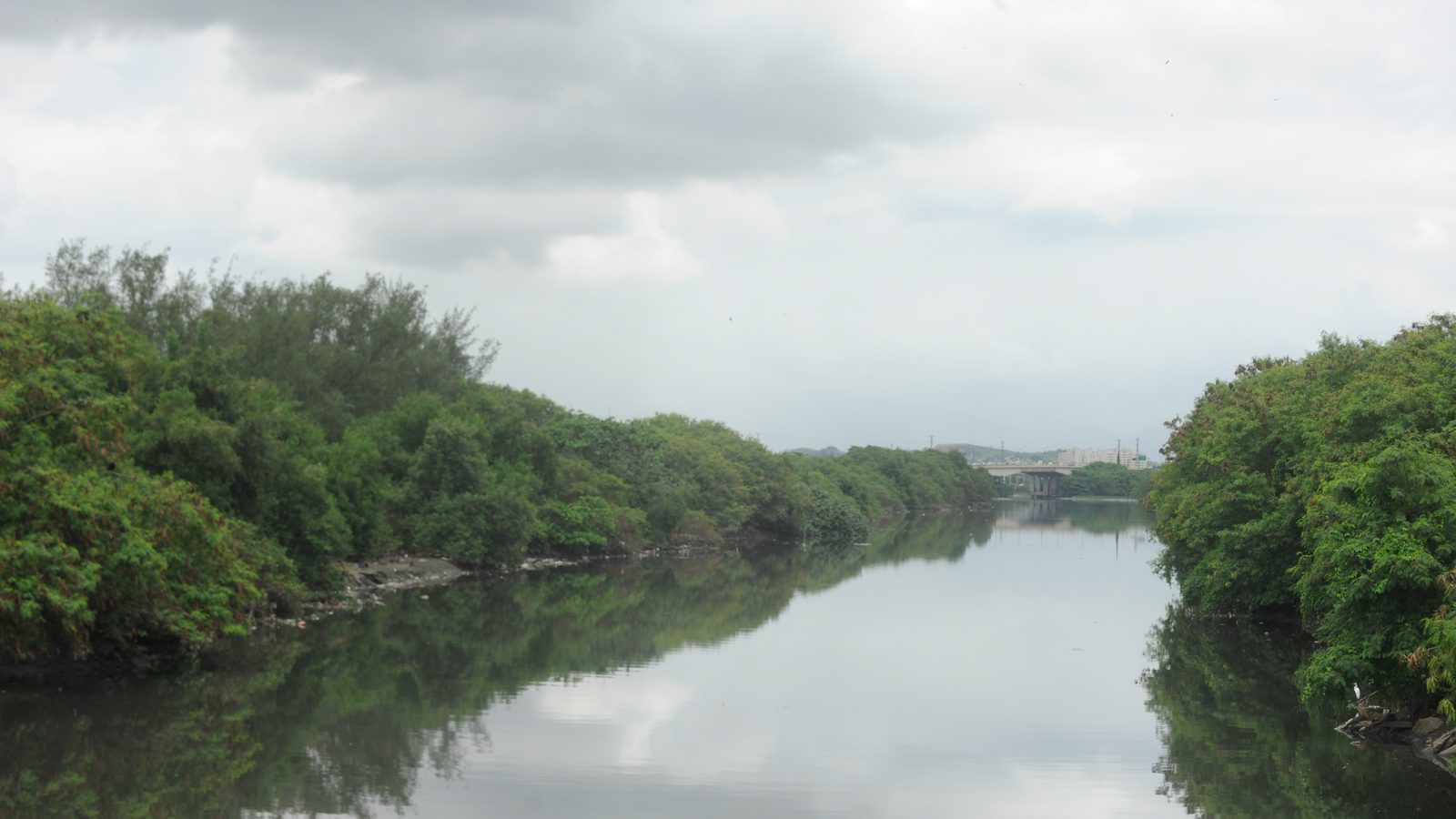 Rio Meriti, na Baixada Fluminense, com vegetação nas margens e uma ponte ao fundo, um dos cinco cursos d'água do estudo sobre cocaína em rios do Rio