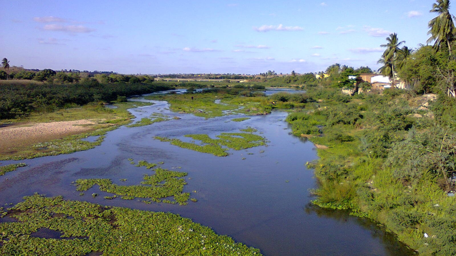 Rio Paraíba correndo raso entre bancos de plantas aquáticas e margens de mato verde em Itabaiana, na Paraíba, cidade das rochas que guardaram o campo magnético antigo da Terra