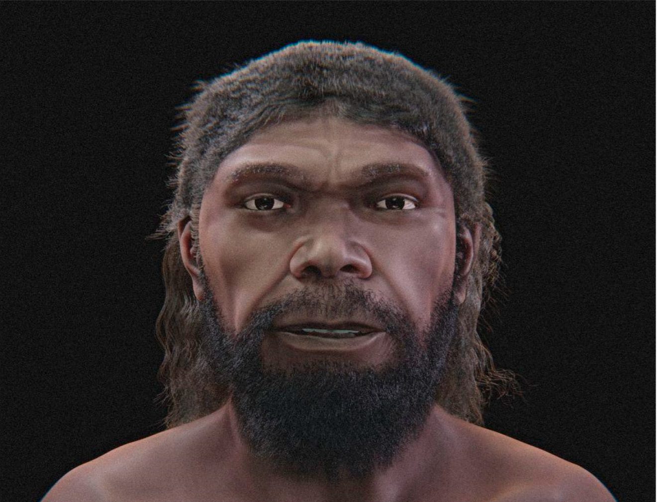 Quatro vistas coloridas do rosto reconstruído do Homo sapiens de Jebel Irhoud, de barba escura e cabelo longo, em fundo preto, o rosto do Homo sapiens mais antigo