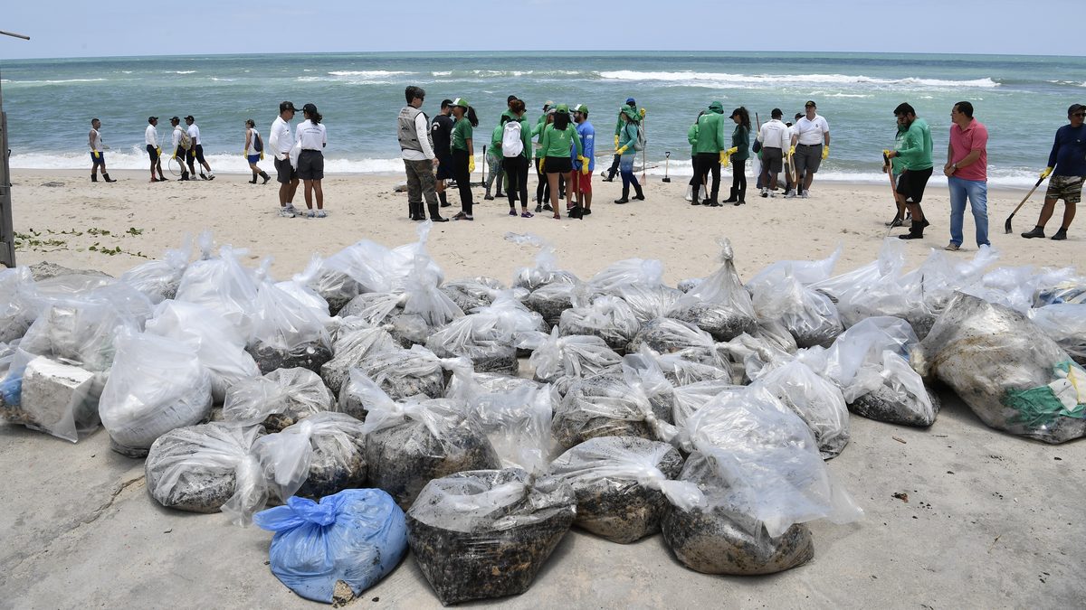 Sacos com óleo recolhido por voluntários enfileirados na areia de uma praia de Alagoas em 2019