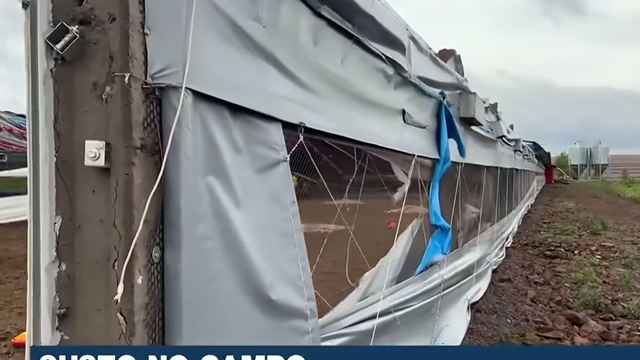 Imagem de divulgação: Professor retira alunos de sala antes de temporal arrancar telhado em Toledo, mas destruição deixa futuro do aeroclube incerto, segundo Band Paraná
