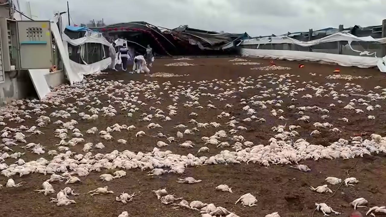 Imagem de divulgação: Professor retira alunos de sala antes de temporal arrancar telhado em Toledo, mas destruição deixa futuro do aeroclube incerto, segundo Band Paraná