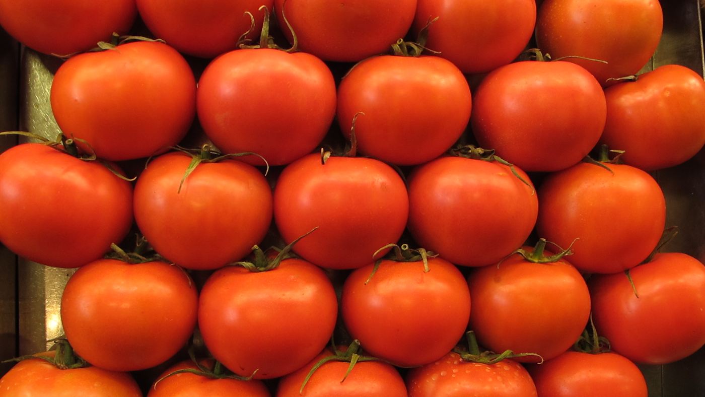Tomates maduros à venda; o boato diz que o furo no fruto esconde veneno de cobra, mas o dano é de inseto