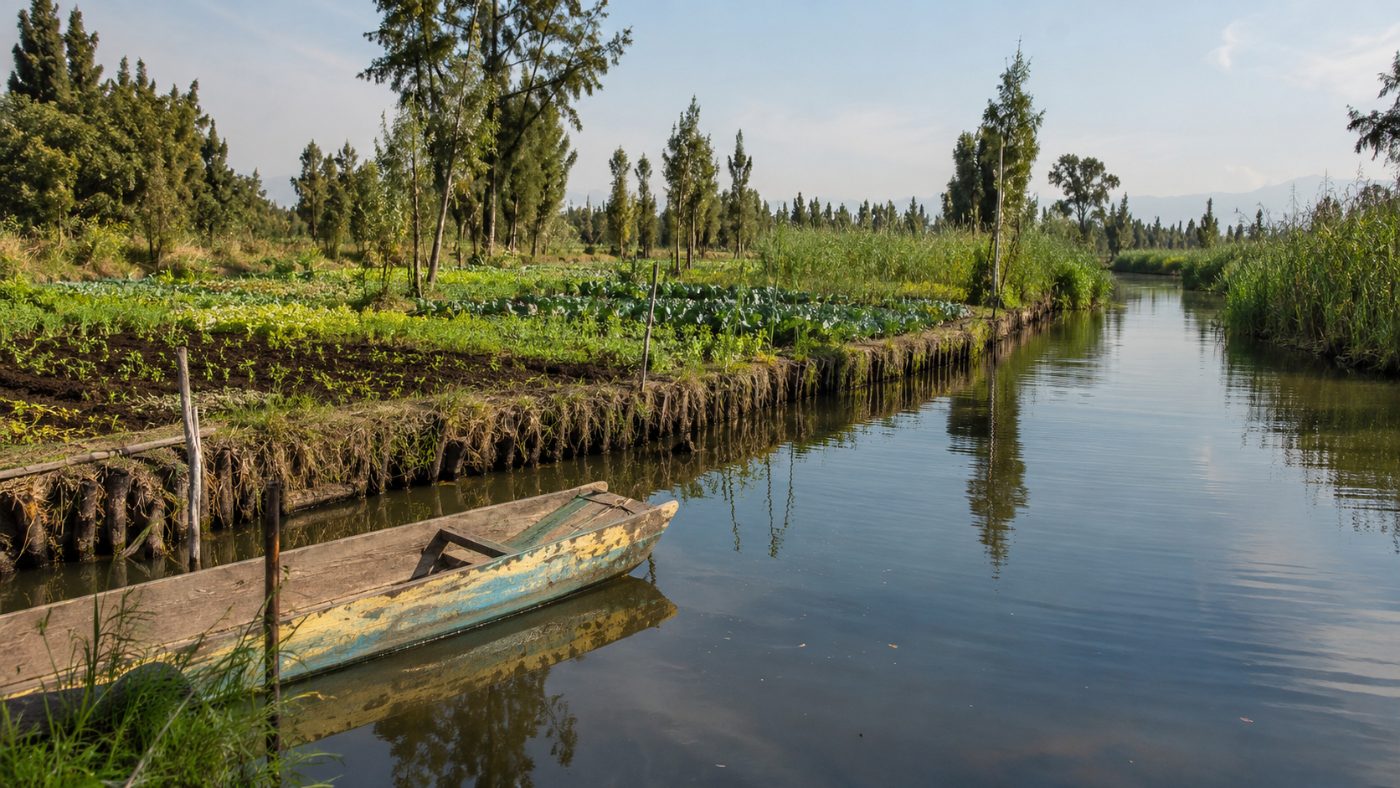 The green canals and chinampa floating garden plots of Xochimilco in Mexico City, with reeds, farmland and a wooden boat on calm water